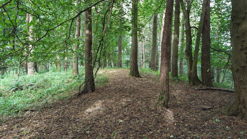 Dechmont Trail Race & Forres 10K